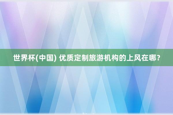 世界杯(中国) 优质定制旅游机构的上风在哪？