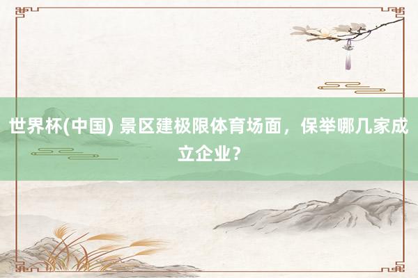 世界杯(中国) 景区建极限体育场面，保举哪几家成立企业？