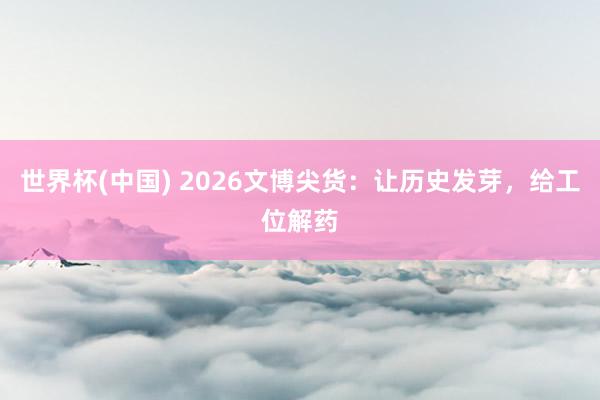 世界杯(中国) 2026文博尖货：让历史发芽，给工位解药