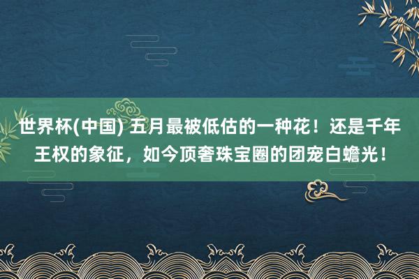 世界杯(中国) 五月最被低估的一种花！还是千年王权的象征，如今顶奢珠宝圈的团宠白蟾光！