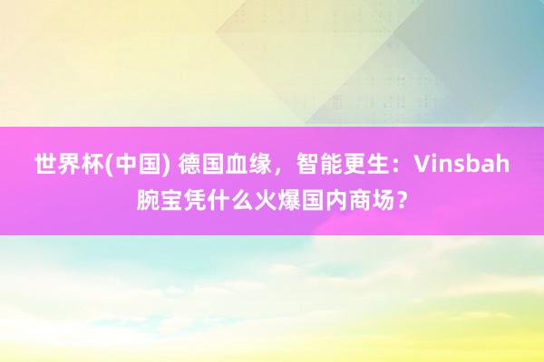 世界杯(中国) 德国血缘，智能更生：Vinsbah腕宝凭什么火爆国内商场？