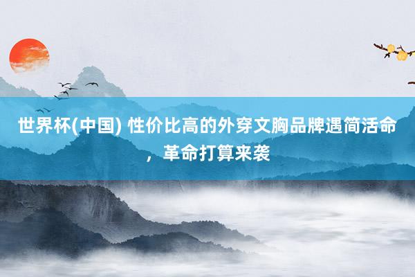 世界杯(中国) 性价比高的外穿文胸品牌遇简活命，革命打算来袭