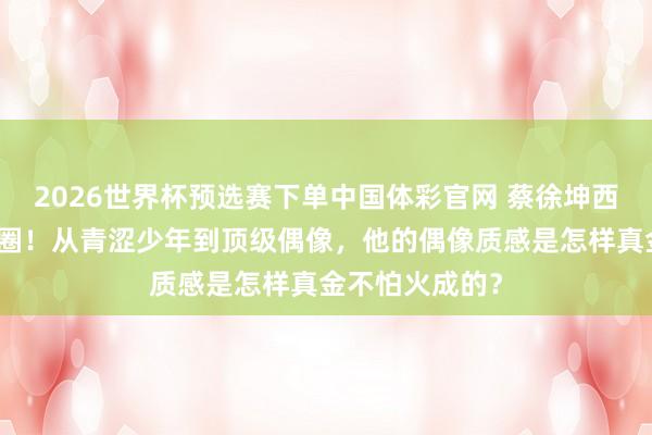 2026世界杯预选赛下单中国体彩官网 蔡徐坤西装造型再次出圈！从青涩少年到顶级偶像，他的偶像质感是怎样真金不怕火成的？