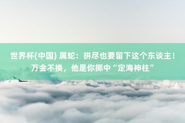 世界杯(中国) 属蛇：拼尽也要留下这个东谈主！万金不换，他是你掷中“定海神柱”