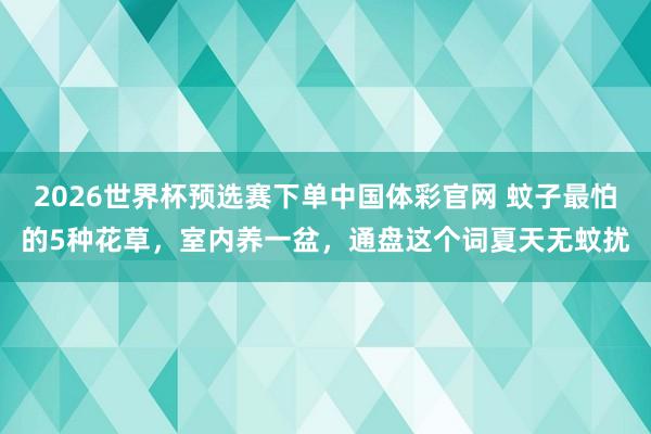 2026世界杯预选赛下单中国体彩官网 蚊子最怕的5种花草，室内养一盆，通盘这个词夏天无蚊扰