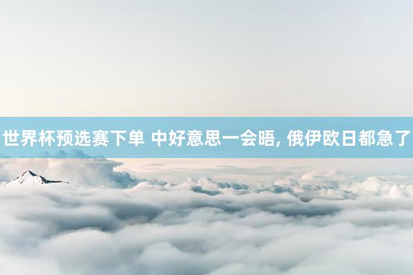 世界杯预选赛下单 中好意思一会晤， 俄伊欧日都急了