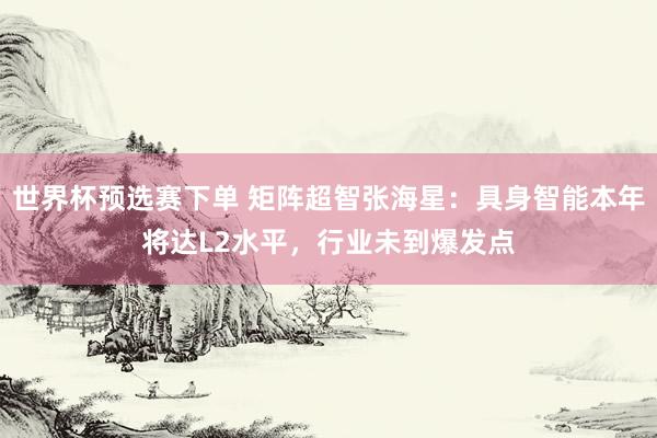 世界杯预选赛下单 矩阵超智张海星：具身智能本年将达L2水平，行业未到爆发点