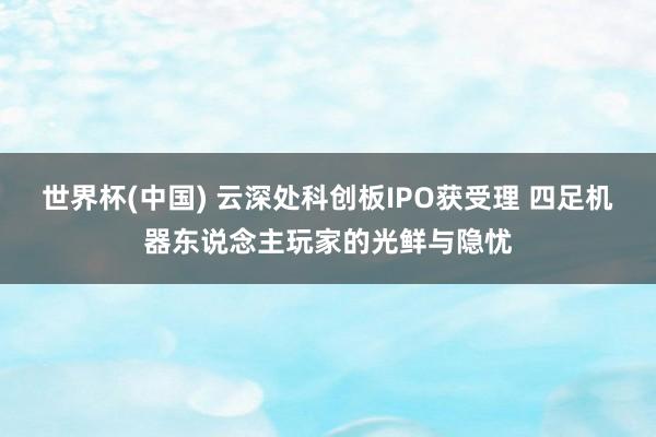 世界杯(中国) 云深处科创板IPO获受理 四足机器东说念主玩家的光鲜与隐忧