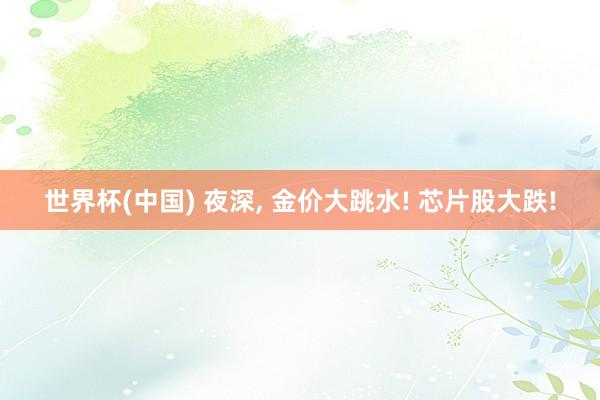 世界杯(中国) 夜深， 金价大跳水! 芯片股大跌!