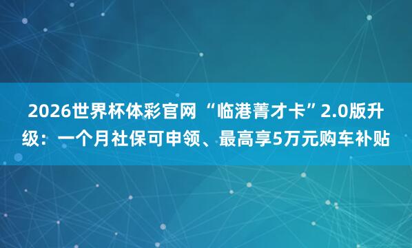 2026世界杯体彩官网 “临港菁才卡”2.0版升级：一个月社保可申领、最高享5万元购车补贴