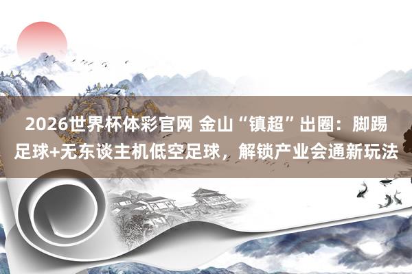 2026世界杯体彩官网 金山“镇超”出圈：脚踢足球+无东谈主机低空足球，解锁产业会通新玩法