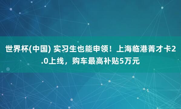 世界杯(中国) 实习生也能申领！上海临港菁才卡2.0上线，购车最高补贴5万元