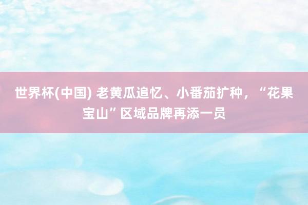 世界杯(中国) 老黄瓜追忆、小番茄扩种，“花果宝山”区域品牌再添一员