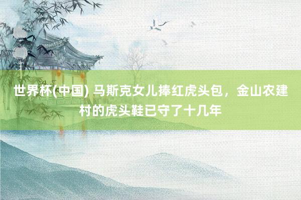世界杯(中国) 马斯克女儿捧红虎头包，金山农建村的虎头鞋已守了十几年