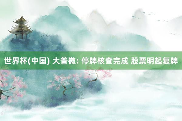 世界杯(中国) 大普微: 停牌核查完成 股票明起复牌