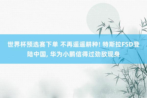 世界杯预选赛下单 不再遥遥耕种! 特斯拉FSD登陆中国， 华为小鹏信得过劲敌现身