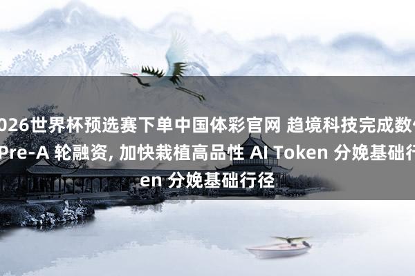 2026世界杯预选赛下单中国体彩官网 趋境科技完成数亿元 Pre-A 轮融资， 加快栽植高品性 AI Token 分娩基础行径