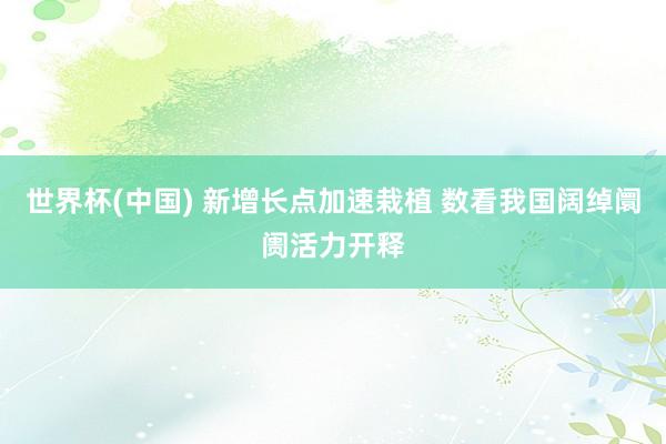 世界杯(中国) 新增长点加速栽植 数看我国阔绰阛阓活力开释