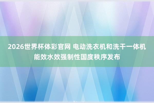 2026世界杯体彩官网 电动洗衣机和洗干一体机能效水效强制性国度秩序发布
