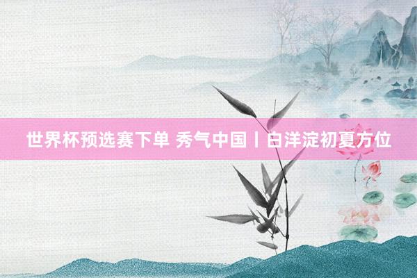 世界杯预选赛下单 秀气中国丨白洋淀初夏方位