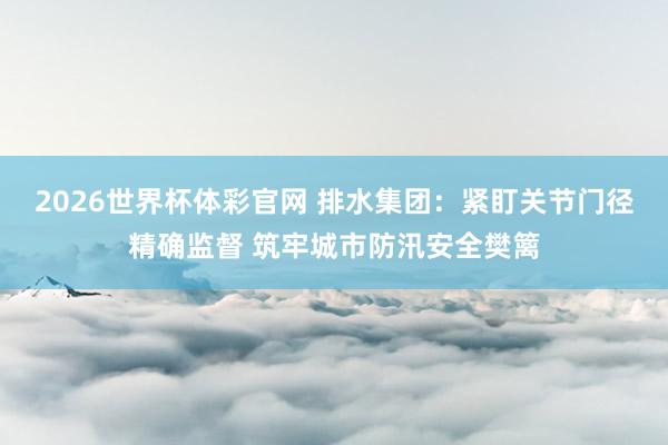 2026世界杯体彩官网 排水集团：紧盯关节门径精确监督 筑牢城市防汛安全樊篱