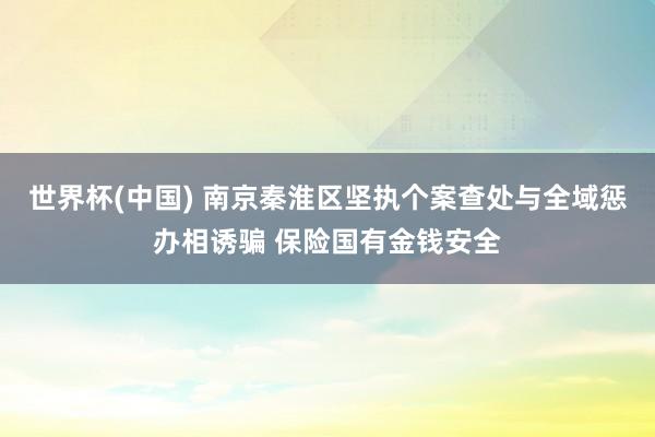 世界杯(中国) 南京秦淮区坚执个案查处与全域惩办相诱骗 保险国有金钱安全