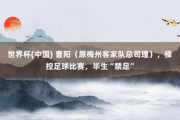 世界杯(中国) 曹阳（原梅州客家队总司理），操控足球比赛，毕生“禁足”