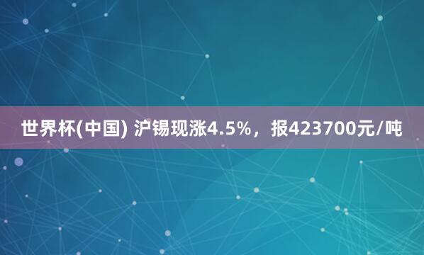 世界杯(中国) 沪锡现涨4.5%，报423700元/吨