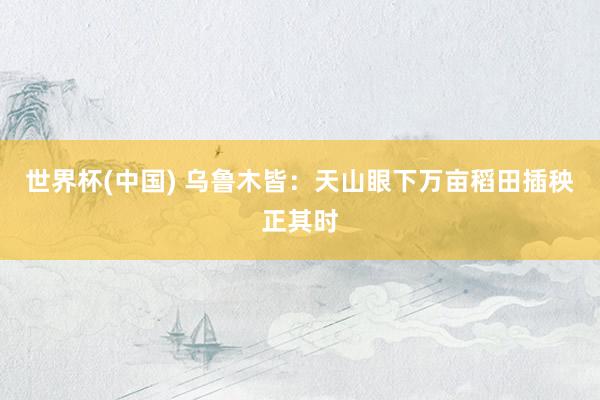 世界杯(中国) 乌鲁木皆：天山眼下万亩稻田插秧正其时