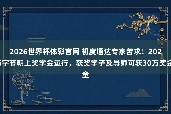2026世界杯体彩官网 初度通达专家苦求！2026字节朝上奖学金运行，获奖学子及导师可获30万奖金