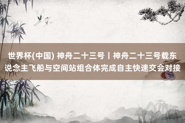 世界杯(中国) 神舟二十三号丨神舟二十三号载东说念主飞船与空间站组合体完成自主快速交会对接