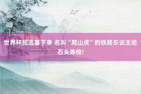 世界杯预选赛下单 名叫“爬山虎”的铁路东谈主给石头体检!