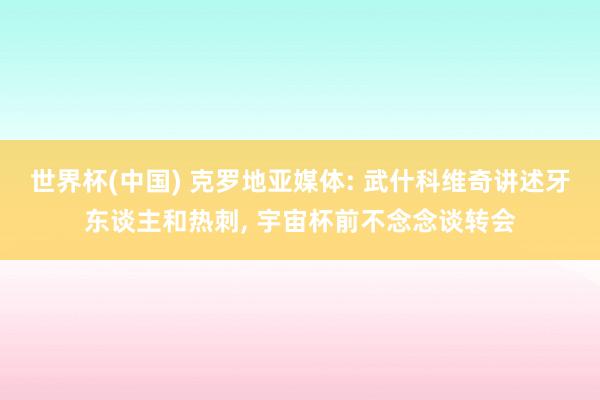 世界杯(中国) 克罗地亚媒体: 武什科维奇讲述牙东谈主和热刺， 宇宙杯前不念念谈转会