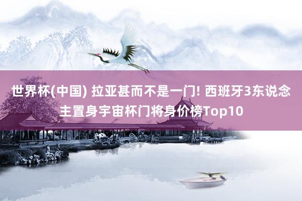 世界杯(中国) 拉亚甚而不是一门! 西班牙3东说