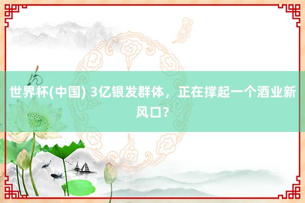 世界杯(中国) 3亿银发群体，正在撑起一个酒业新风口？