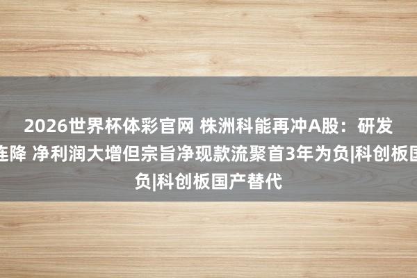 2026世界杯体彩官网 株洲科能再冲A股：研发用度率连降 净利润大增但宗旨净现款流聚首3年为负|科创板国产替代