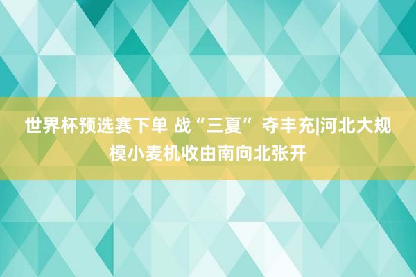 世界杯预选赛下单 战“三夏” 夺丰充|河北大规模小麦机收由南向北张开