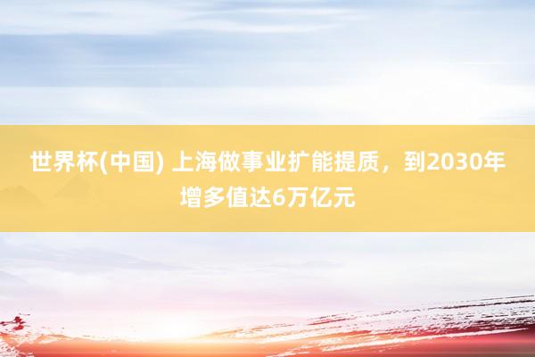 世界杯(中国) 上海做事业扩能提质，到2030年增多值达6万亿元