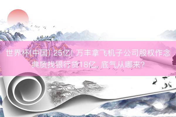 世界杯(中国) 25亿! 万丰拿飞机子公司股权作念典质找银行贷18亿， 底气从哪来?