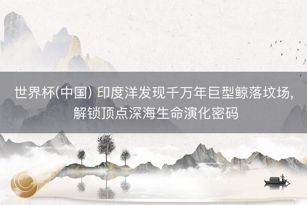 世界杯(中国) 印度洋发现千万年巨型鲸落坟场， 解锁顶点深海生命演化密码