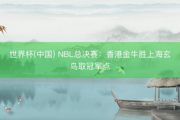 世界杯(中国) NBL总决赛：香港金牛胜上海玄鸟取冠军点