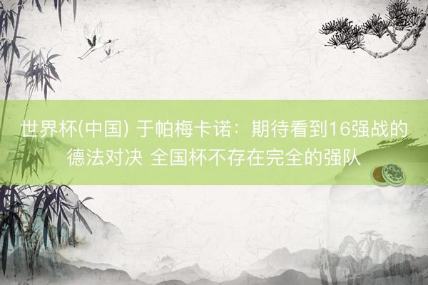 世界杯(中国) 于帕梅卡诺：期待看到16强战的德法对决 全国杯不存在完全的强队