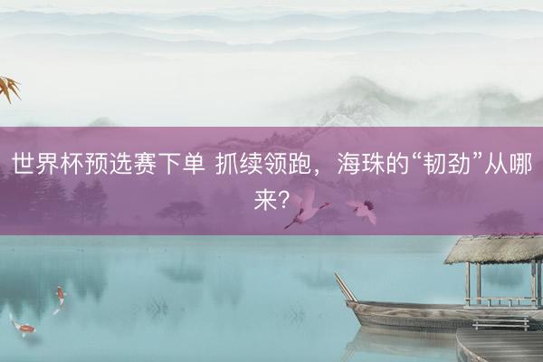 世界杯预选赛下单 抓续领跑，海珠的“韧劲”从哪来？