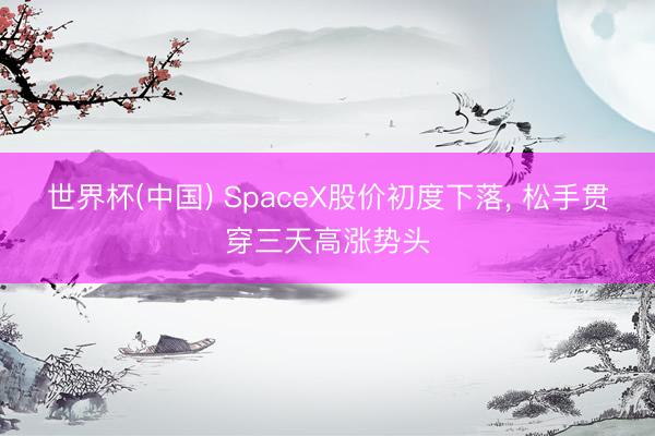 世界杯(中国) SpaceX股价初度下落, 松手贯穿三天高涨势头