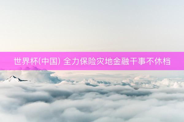 世界杯(中国) 全力保险灾地金融干事不休档